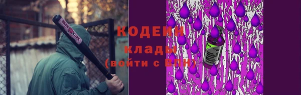гидра Костерёво
