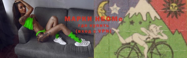 индика Алексин