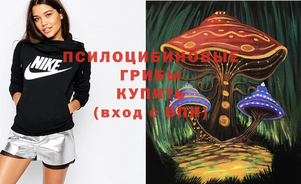 а пвп мука Козловка