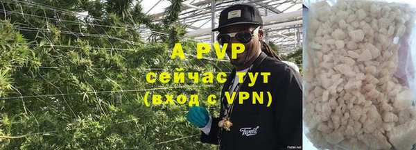 индика Алексин