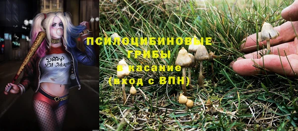 шишки Алексеевка