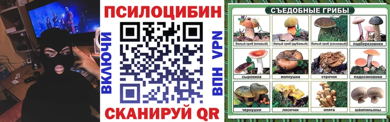 Псилоцибиновые грибы MAGIC MUSHROOMS  Сокол 